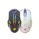 mouse.webp